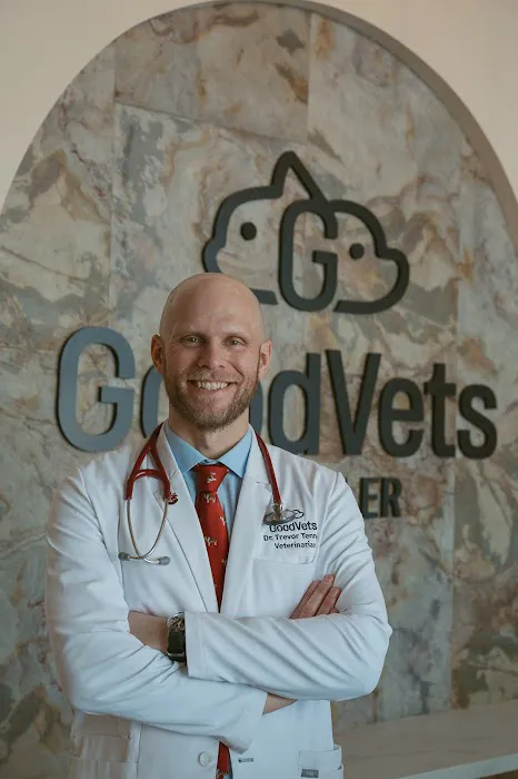 GoodVets Chandler Picture 7