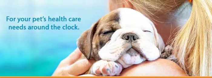 1st Pet Veterinary Centers - Chandler Picture 6
