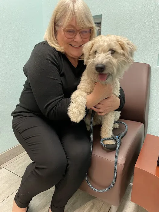1st Pet Veterinary Centers - Chandler Picture 7