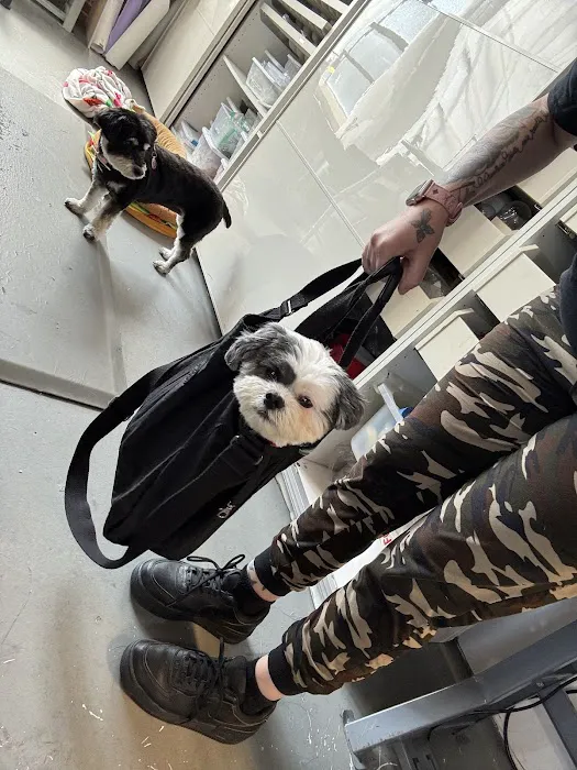 Love On A Leash Pet Supplies & Grooming Picture 6