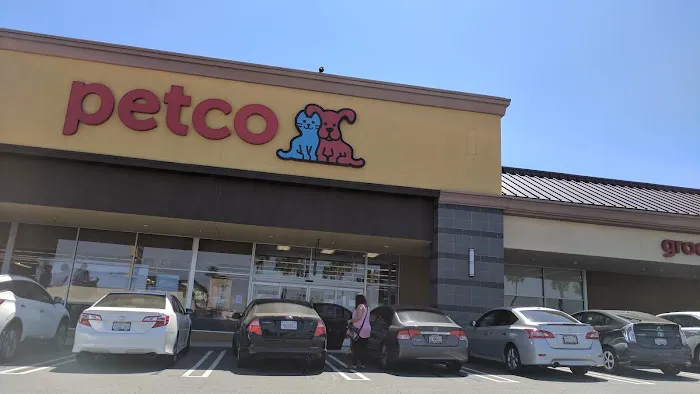 Petco Picture 3