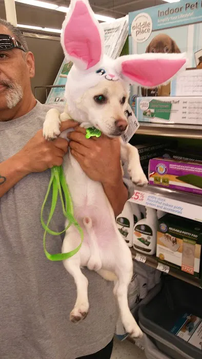 Petco Picture 9