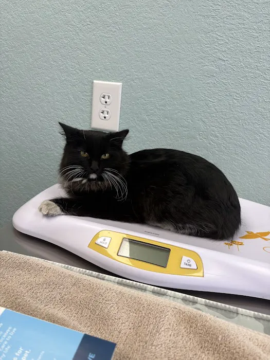 Arizona Avenue Animal Clinic Picture 2