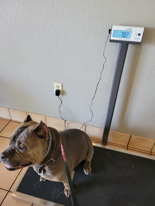 Arizona Avenue Animal Clinic Picture 9