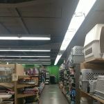 Petco