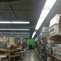 Petco ico