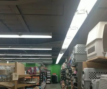 Petco