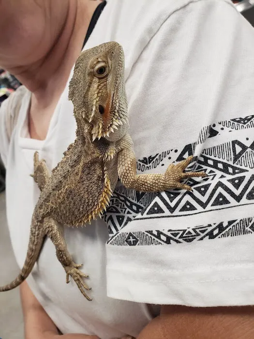 Petco Picture 3