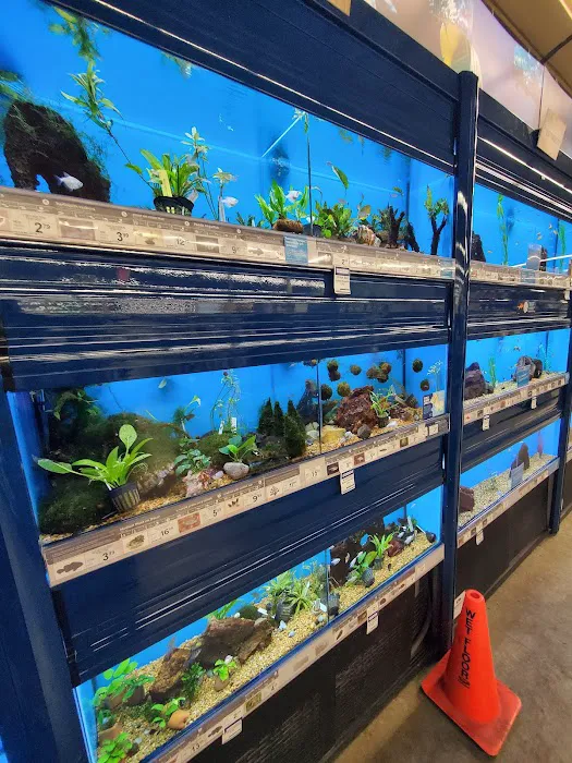 Petco Picture 7
