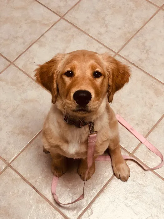 Alma School Animal Hospital Picture 8