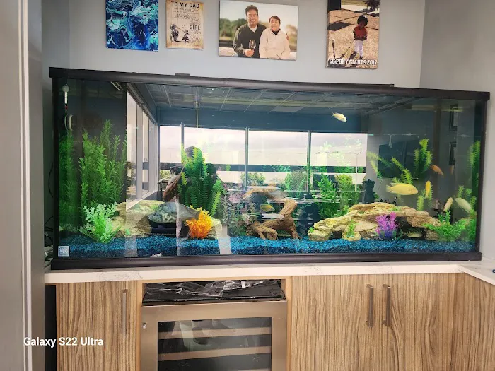 Orange County Reef Care Picture 1