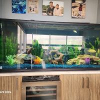 Orange County Reef Care ico