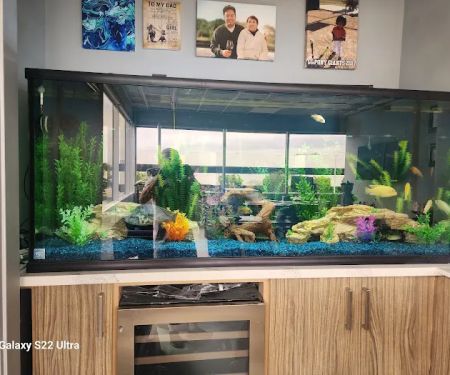 Orange County Reef Care