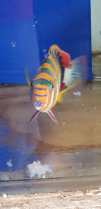 Orange County Reef Care Picture 2