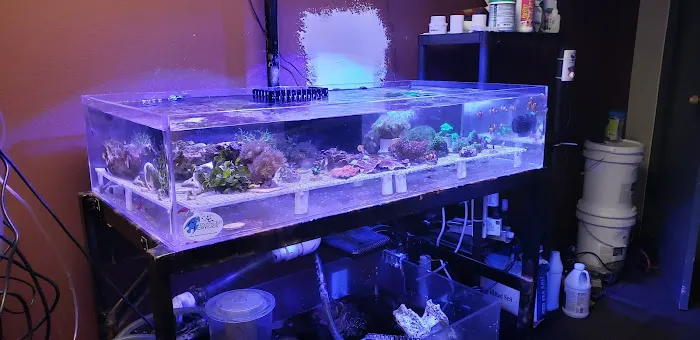 Orange County Reef Care Picture 10