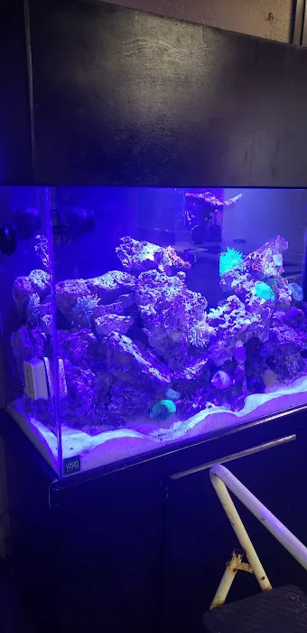 Orange County Reef Care Picture 5
