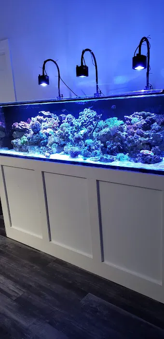 Orange County Reef Care Picture 9