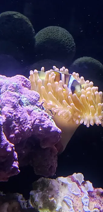Orange County Reef Care Picture 4
