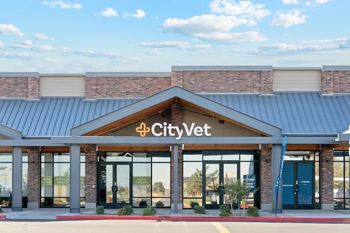 CityVet | Surprise Picture 10