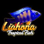 Liahona Tropical Fish