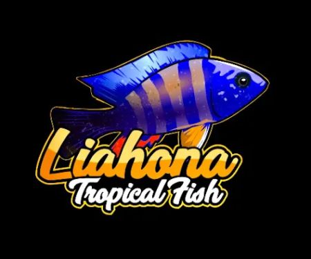 Liahona Tropical Fish