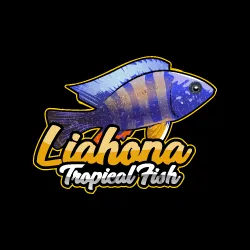 Liahona Tropical Fish Picture 8