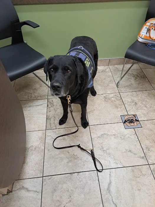 Lovet Pet Health Care - Verrado Picture 2