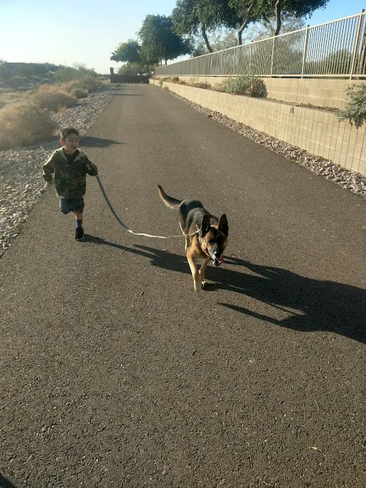 Lovet Pet Health Care - Verrado Picture 7