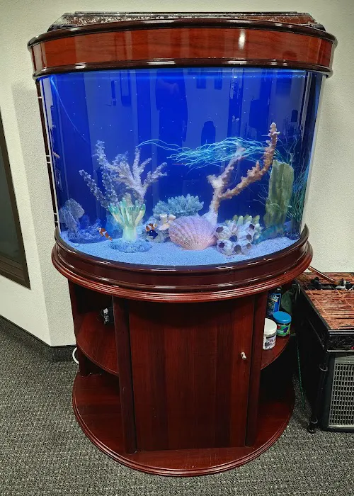 Majestic aquarium services Picture 10