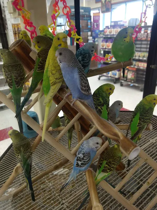 Petco Picture 3