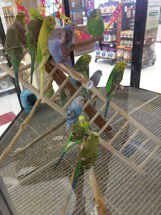 Petco Picture 4