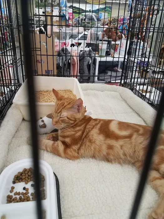 Petco Picture 6