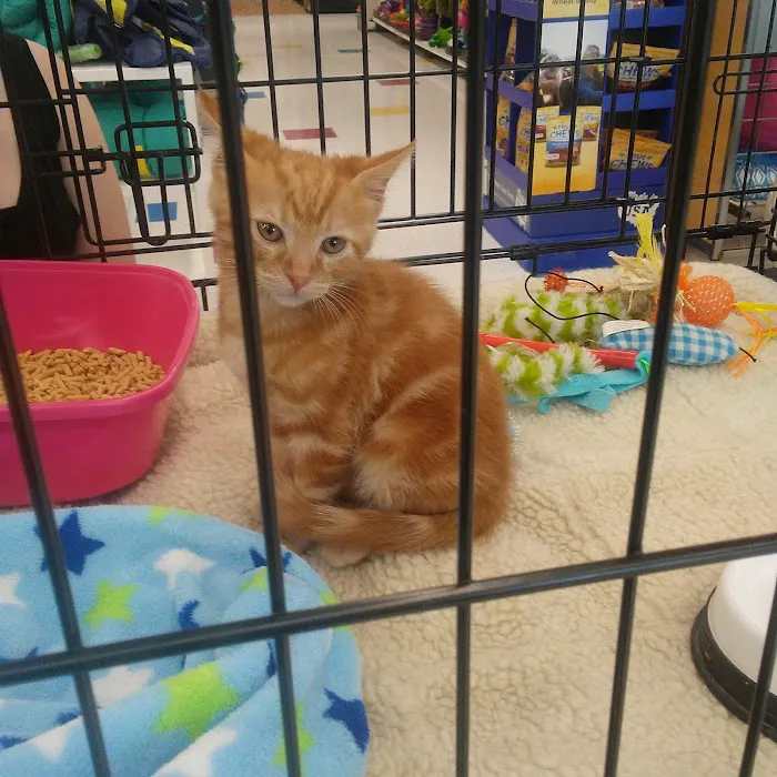 Petco Picture 9