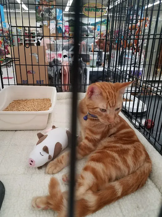 Petco Picture 7