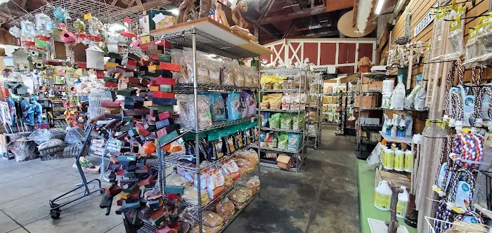 San Dimas Grain Picture 5