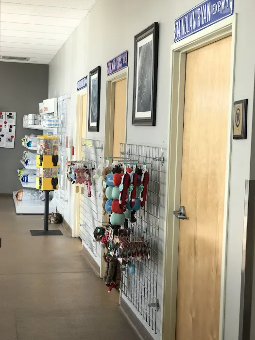 All-Star Animal Hospital Picture 7