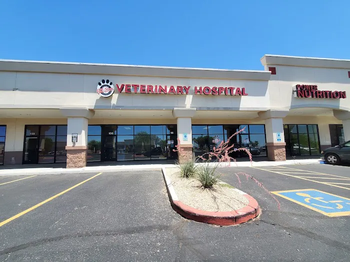 All-Star Animal Hospital Picture 10