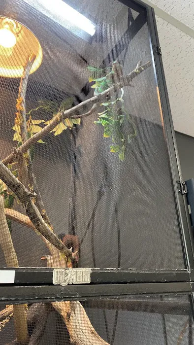 The Basking Spot Pets and Supplies Picture 3
