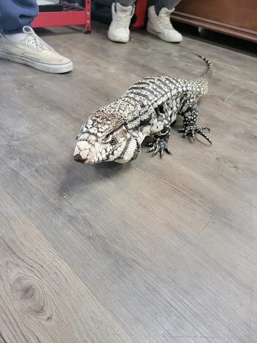 The Basking Spot Pets and Supplies Picture 1