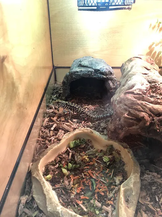 The Basking Spot Pets and Supplies Picture 5