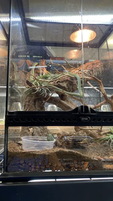The Basking Spot Pets and Supplies Picture 8