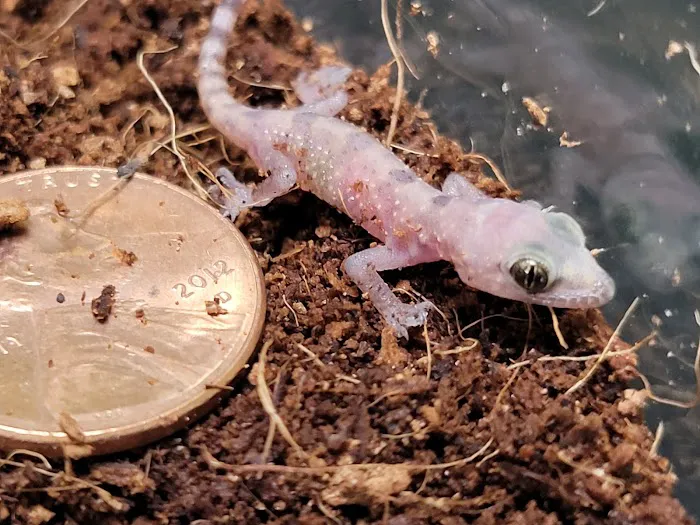 The Basking Spot Pets and Supplies Picture 4