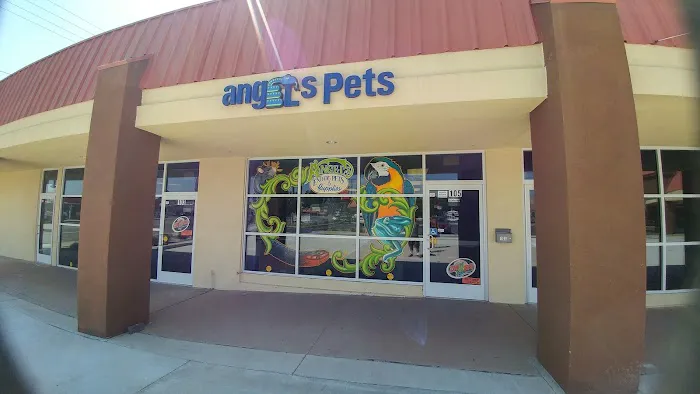 The Basking Spot Pets and Supplies Picture 9