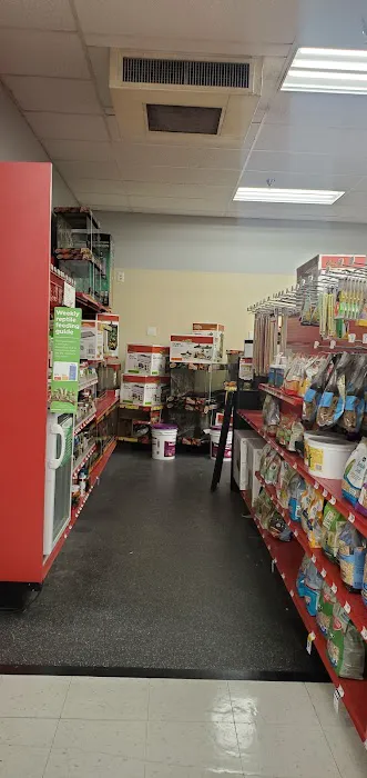 Petco Picture 1