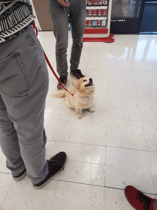 Petco Picture 9