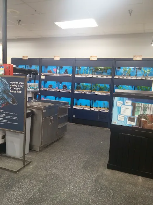 Petco Picture 10