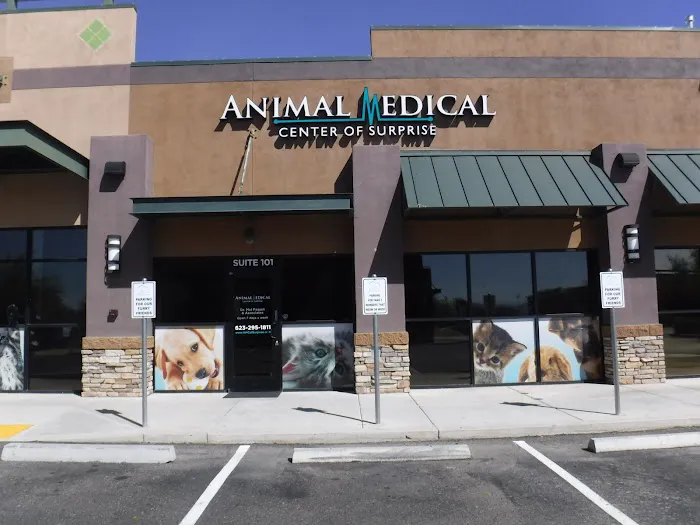 Animal Medical Center of Surprise Picture 7