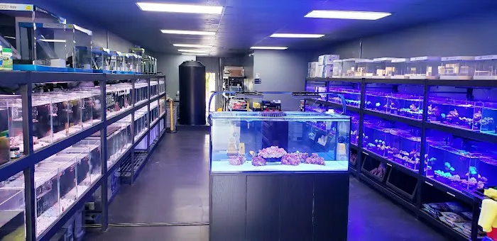 Reef factory us Picture 1