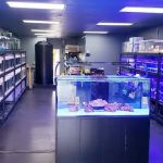 Reef factory us