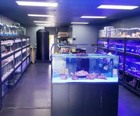 Reef factory us